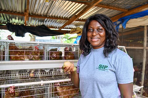 Ghana: African Development Fund approves $27.9 million grant for Savannah Agriculture Value Chain Development Project (SADP)