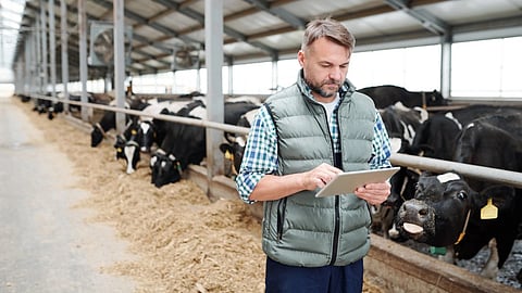 GEA creates interface for exchange of milk and animal data with id
