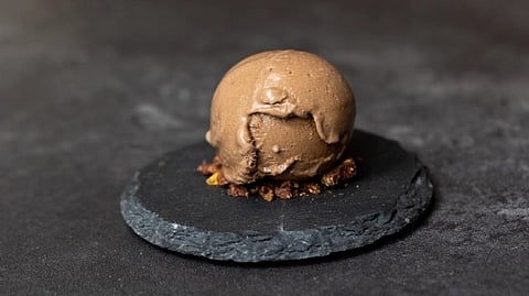 Plant-based: much more than a substitute