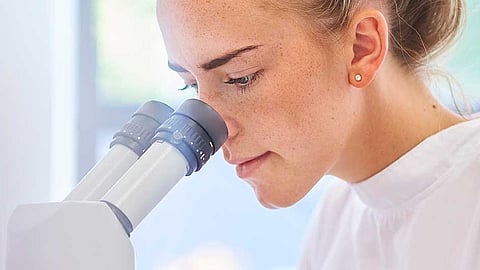 Novozymes and Chr. Hansen to combine and create a leading global biosolutions partner