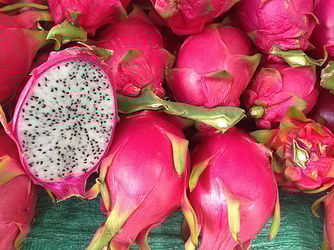 Firmenich announces Dragon Fruit as 2023 Flavor of the Year
