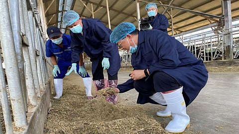 Sino-Dutch Dairy Development Centre enters a new era with its hand over to Jingwa Center