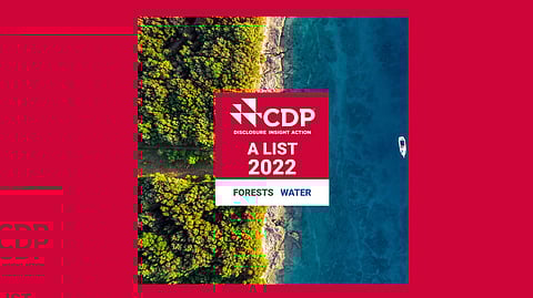 Sustainability: Symrise receives top scores in the categories of climate, water, and forests