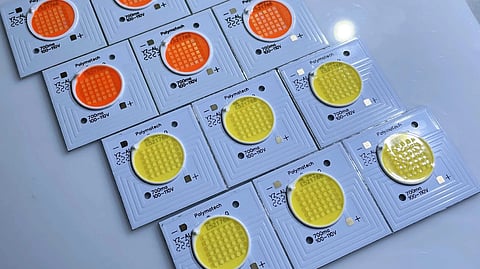 Indoor light - Rapid plant growth