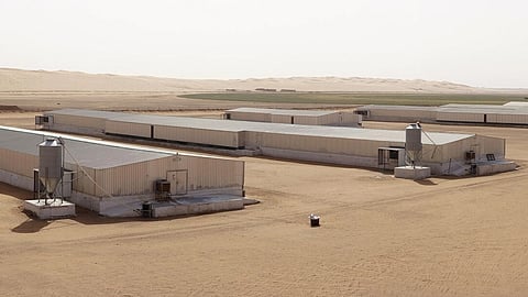 Tanmiah Food Company and MHP Group partner to boost Saudi poultry production