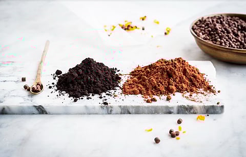 High-Flavanol Cocoa Powder: An important step forward in the journey of cocoa and food for health