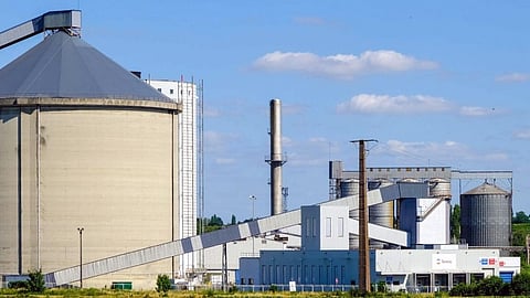 Azelis and Tereos extend partnership to the Benelux for the food and nutrition market