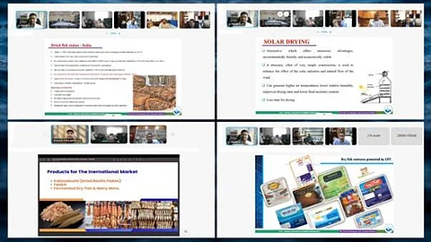 Department of fisheries organizes national webinar on ‘Dry Fish Technologies and Consumer Market’