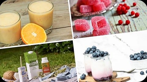 CP Kelco unveils tempting menu of on-the-go snack prototypes at FIC