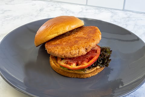 The ISH Company launches Salmonish Burgers, new plant-based seafood alternative