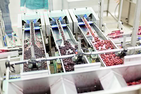 Machines that matter- Food processing equipment
