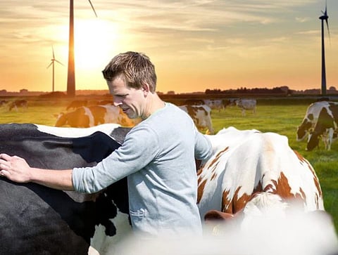 FrieslandCampina and Mondelēz partner to accelerate carbon reduction