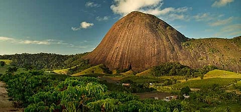 Nescafé Plan 2030 shows progress on farmers' transition to regenerative agricultural practices