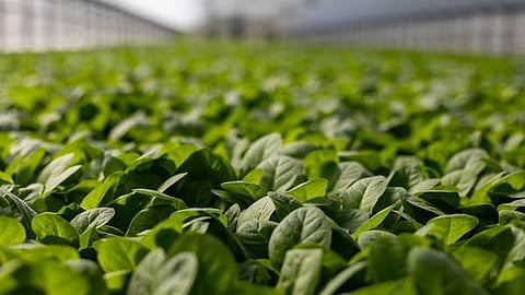 Poshn launches tech platform to transform $800 Bn food and agro trading segment