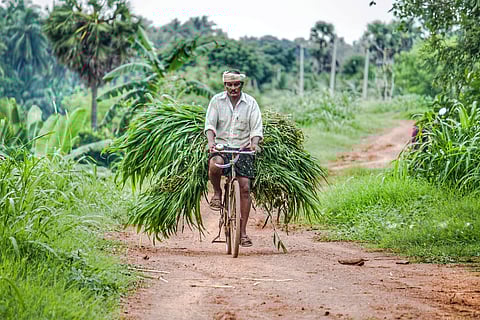 DeHaat partners with Global Bio Agri-input innovations to drive sustainability for Indian farmers