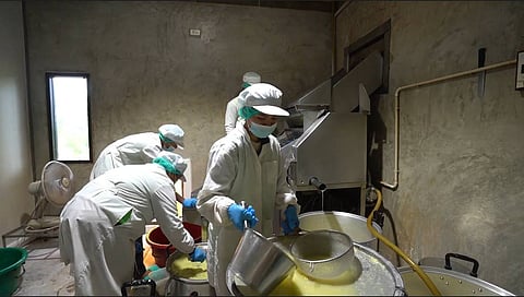 CP Foods empowers suppliers to deliver low-carbon products, aiming for net-zero