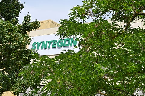 Syntegon publishes its first sustainability report