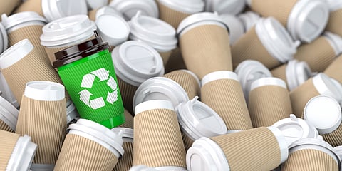 Sustainability trends: Taking a greener approach for a better world