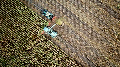 Angola’s oil sector to stimulate agricultural development