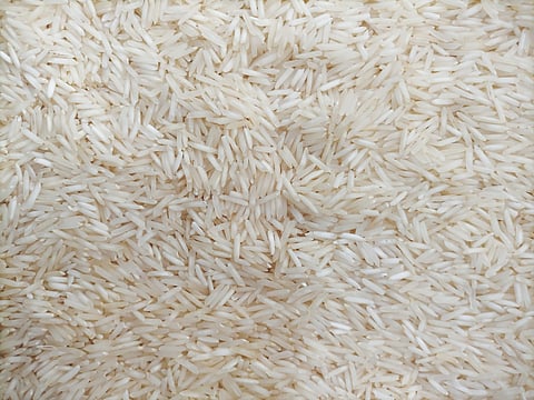 Additional safeguards for export of Basmati rice to prevent exports of non-Basmati white rice through mis-classification as Basmati rice