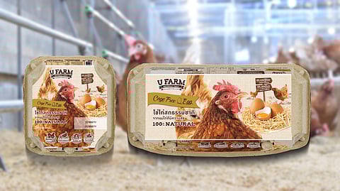 CP Foods produces carbon-neutral cage-free egg