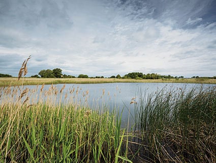 Global water challenge and Cargill launch impactful new projects to expand access to safe drinking water in Brazil