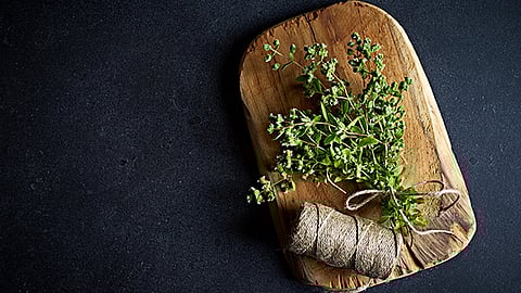New ofi herb processing facility to meet growing demand and expand innovation capabilities