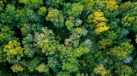 PepsiCo and Walmart aim to support regenerative agriculture across more than 2 Million acres of farmland