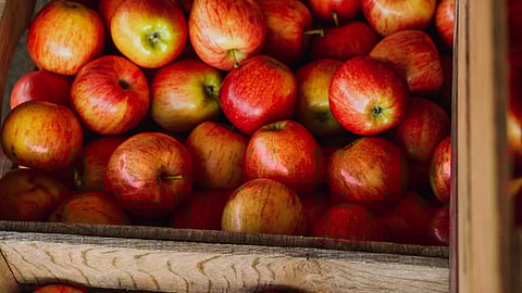 MFN duty of 50% and 100% continues to be applicable on US apples and walnuts as only additional 20% duty is removed
