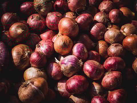 Government intervention on onion export prices stabilizes domestic markets
