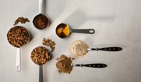Divaks selects Bühler to develop its first industrial-scale yellow mealworm plant