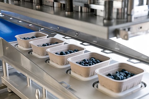 Packaging technology for a sustainable fruit trade in future
