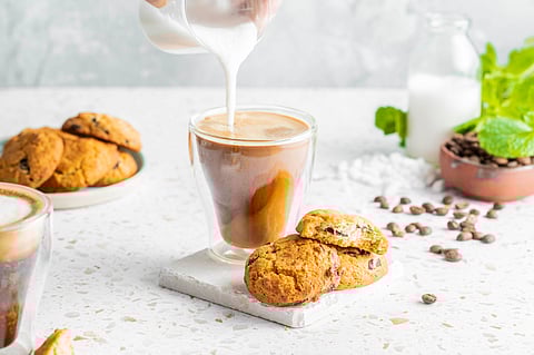 Reimagining plant-based milk beverages: Harnessing the value of Faba Bean and Palatinose