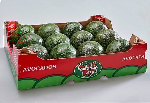Westfalia Fruit celebrates historic first shipment of Avocados from South Africa to China