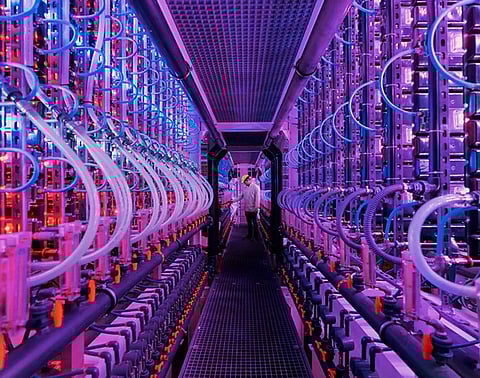 Oterra and VAXA Technologies partner for sustainable natural color solutions