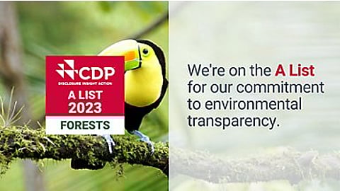 Tetra Pak recognized with ‘A’ score for transparency on forests for the eighth year running