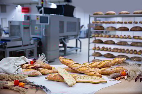 FRITSCH Bakery Technologies pursues its relocation strategy