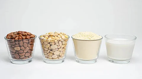 Roquette breaks new ground in plant-based ingredient innovation with NUTRALYS Fava S900M