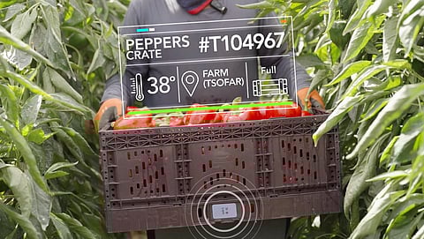 Wiliot introduces new ambient IoT food safety initiative to help the food industry create safer, more traceable supply chains
