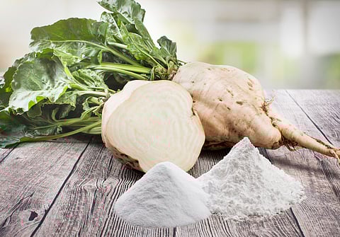 Study shows BENEO’s Palatinose stimulates the release of GLP-1 in overweight adults