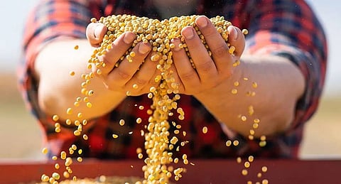 Bunge and CP Foods pioneer greater transparency in shipments of deforestation-free soybeans using blockchain technology