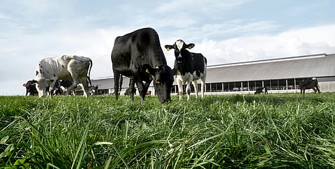 Arla and Danish customers partner to boost climate and biodiversity efforts
