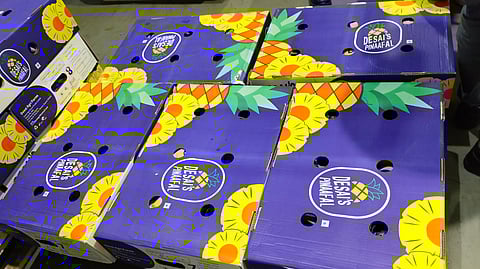 APEDA facilitates first consignment of MD 2 Pineapples from India to UAE