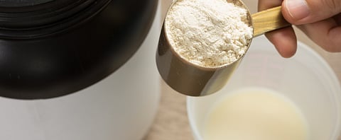 Brenntag & Cargill enters into an exclusive distribution agreement for EpiCor