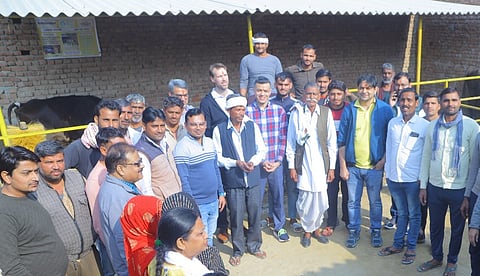 Nova Dairy launches initiative to improve animal welfare in cattle supply chain