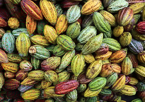 Symrise on a profitable growth course in a challenging environment