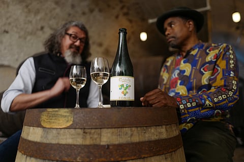 Carlsberg & Brooklyn Brewery launch first ever lager where all barley is replaced with drought-resistant fonio grain