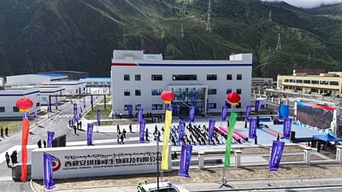 Angel Yeast expands into probiotics R&D and production, advances biotech transformation