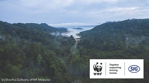 SIG launches second project with WWF Switzerland to support thriving forests in Malaysia