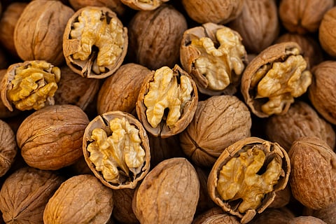 California Walnut industry crop estimate for 2024 released